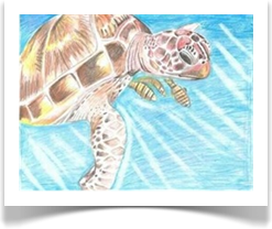 Dibujo realizado por Stephanie Bello